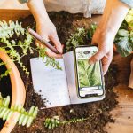 Gardening technology plant identifier mobile app