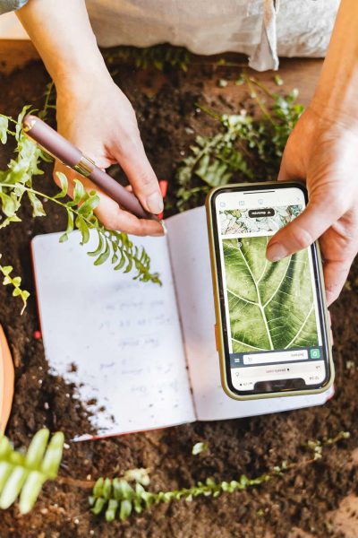 Gardening technology plant identifier mobile app