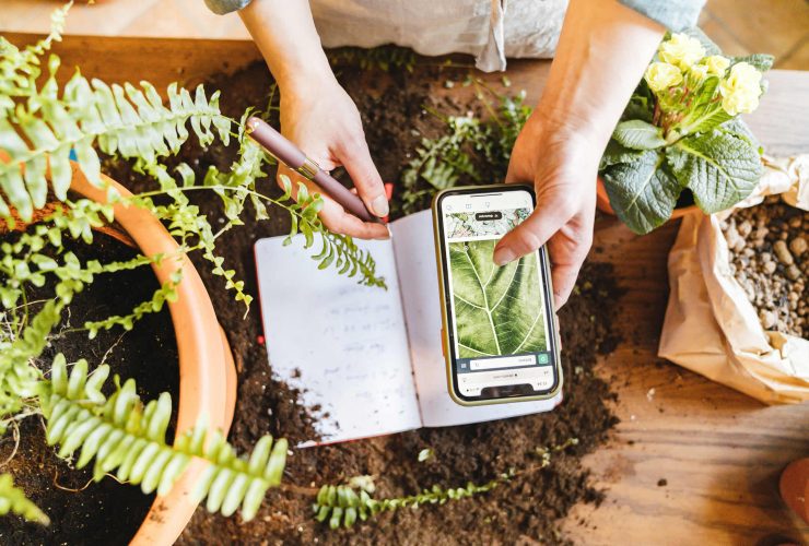Gardening technology plant identifier mobile app