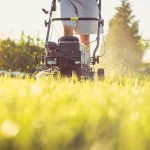 The pros and cons of petrol, mechanical and electric lawnmowers