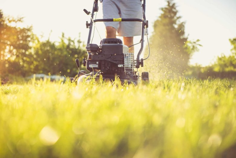 The pros and cons of petrol, mechanical and electric lawnmowers